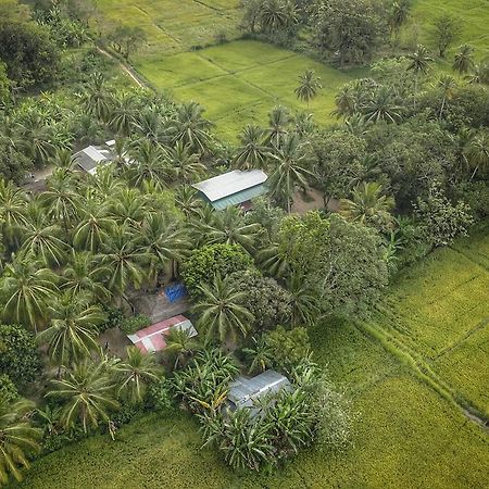 Coconut Park Bed & Breakfast Anuradhapura Ngoại thất bức ảnh