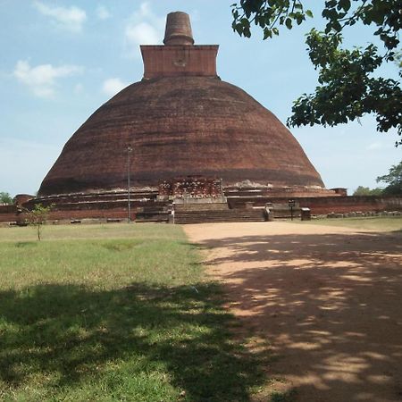 Coconut Park Bed & Breakfast Anuradhapura Ngoại thất bức ảnh