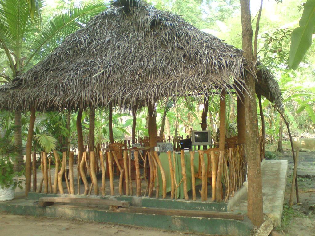 Coconut Park Bed & Breakfast Anuradhapura Ngoại thất bức ảnh