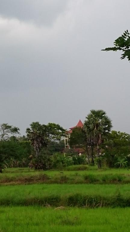 Coconut Park Bed & Breakfast Anuradhapura Ngoại thất bức ảnh