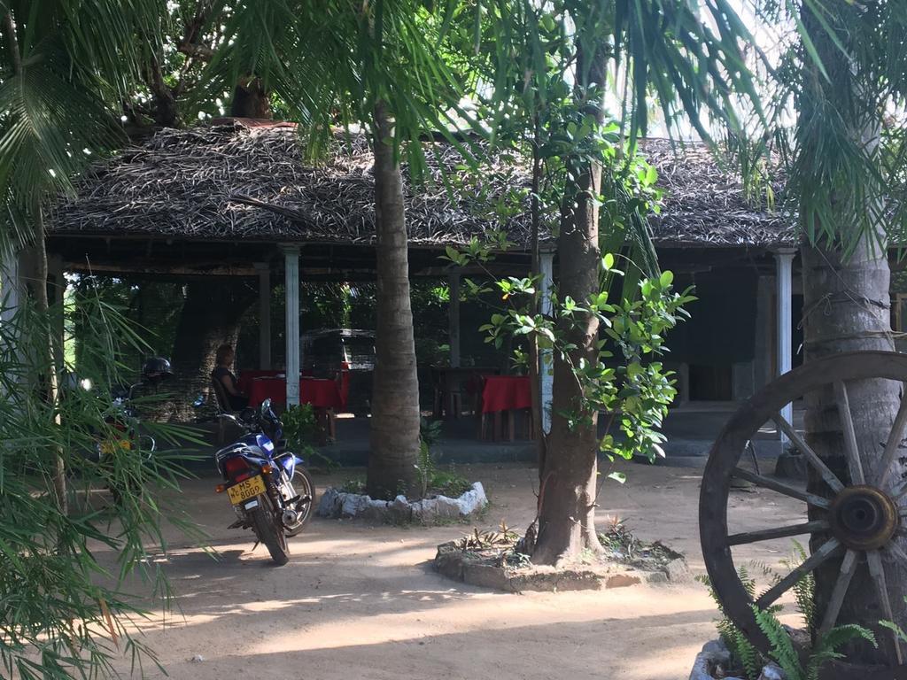 Coconut Park Bed & Breakfast Anuradhapura Ngoại thất bức ảnh