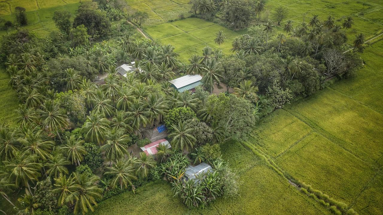 Coconut Park Bed & Breakfast Anuradhapura Ngoại thất bức ảnh