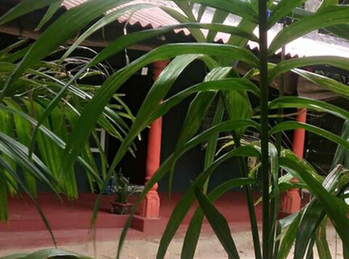 Coconut Park Bed & Breakfast Anuradhapura Ngoại thất bức ảnh