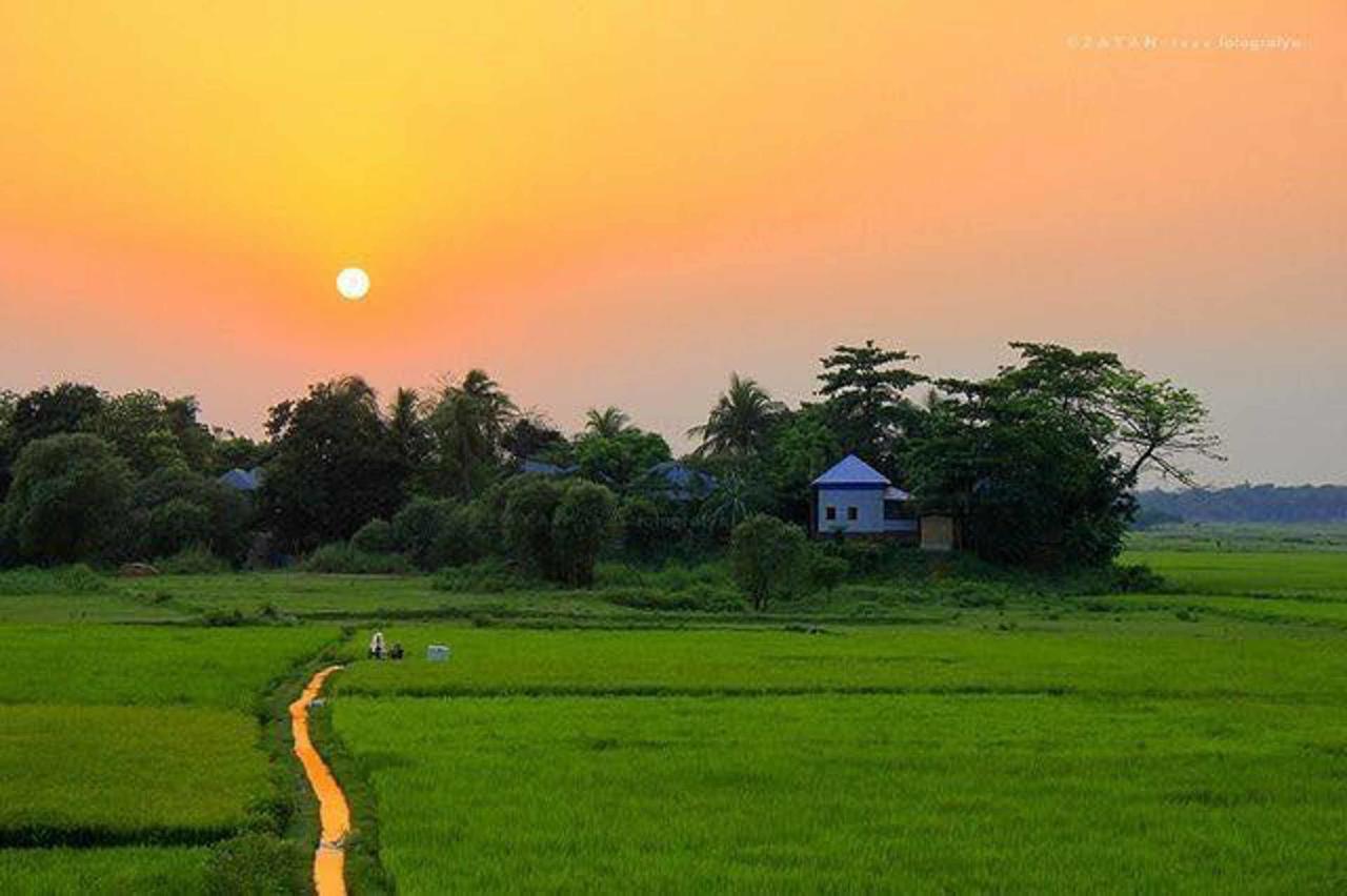 Coconut Park Bed & Breakfast Anuradhapura Ngoại thất bức ảnh